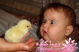 من شما را به چالش دعوت میکنم!